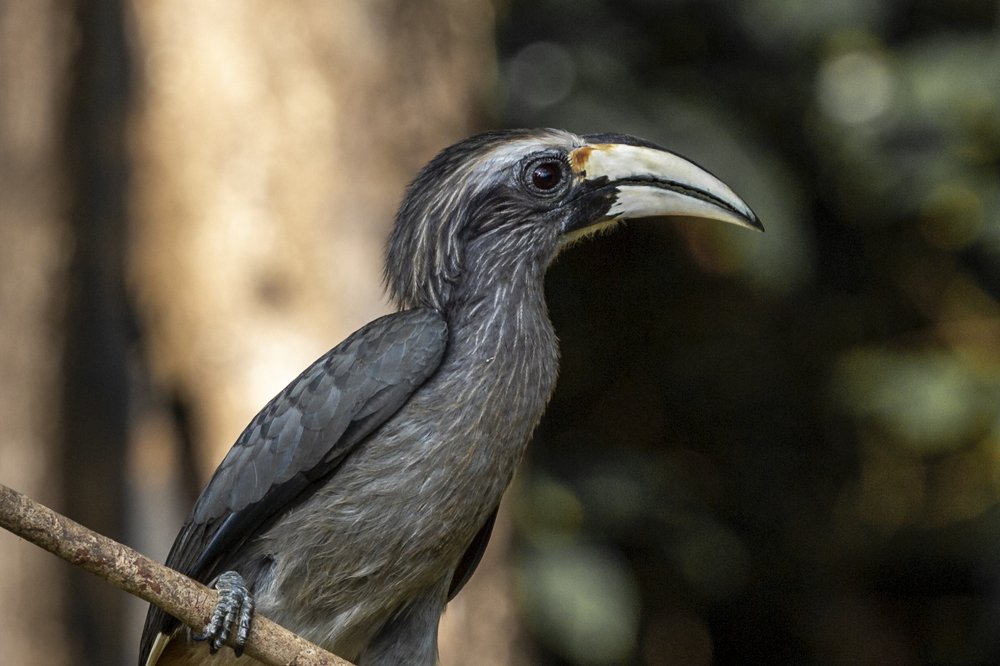 Photograph by Michael Dsouza