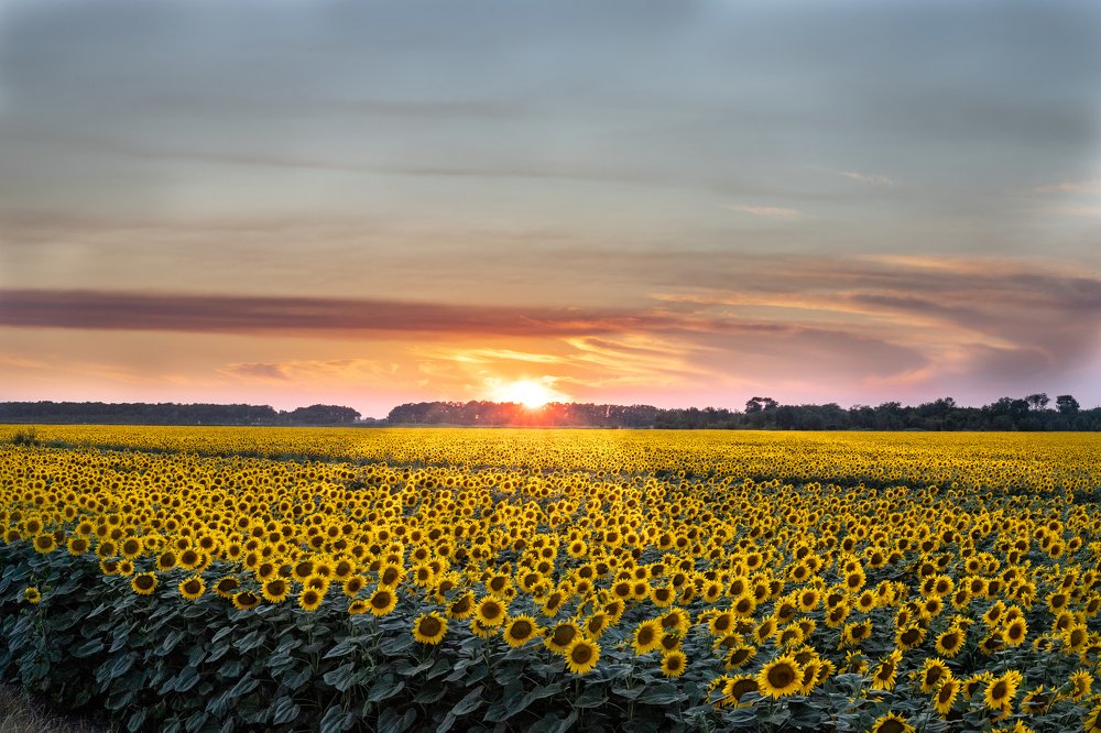 Photograph by Евгений Нагорский