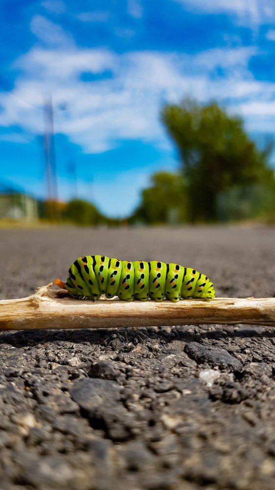 Photograph by Alexandre Maria