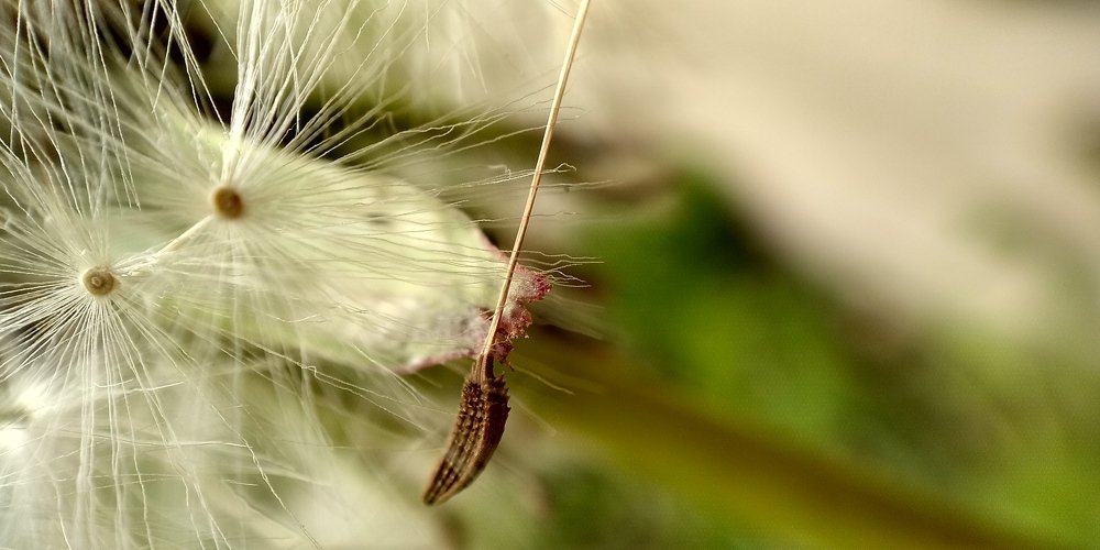 Photograph by Армина