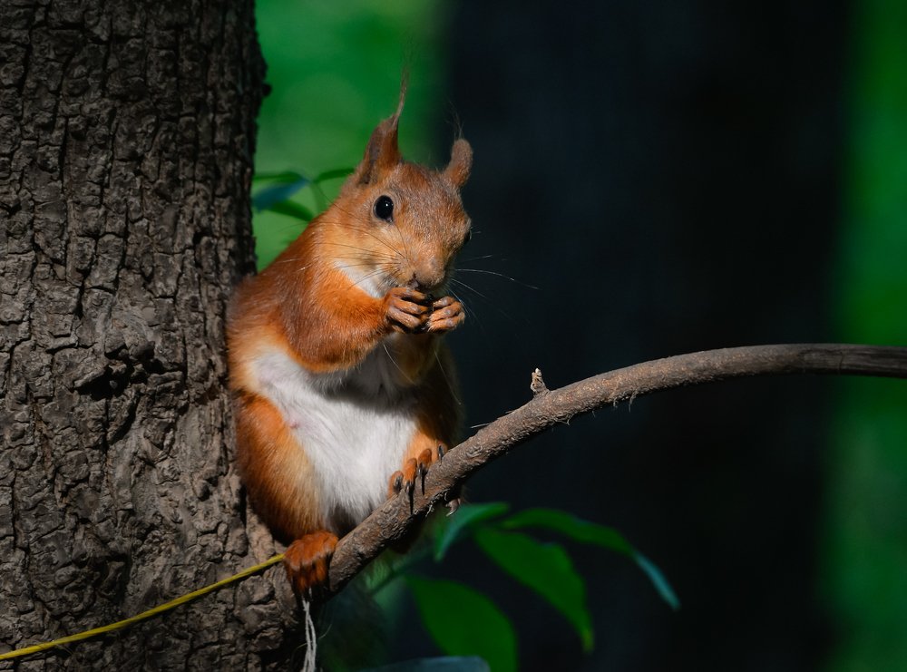 Photograph by Ольга Мендоса