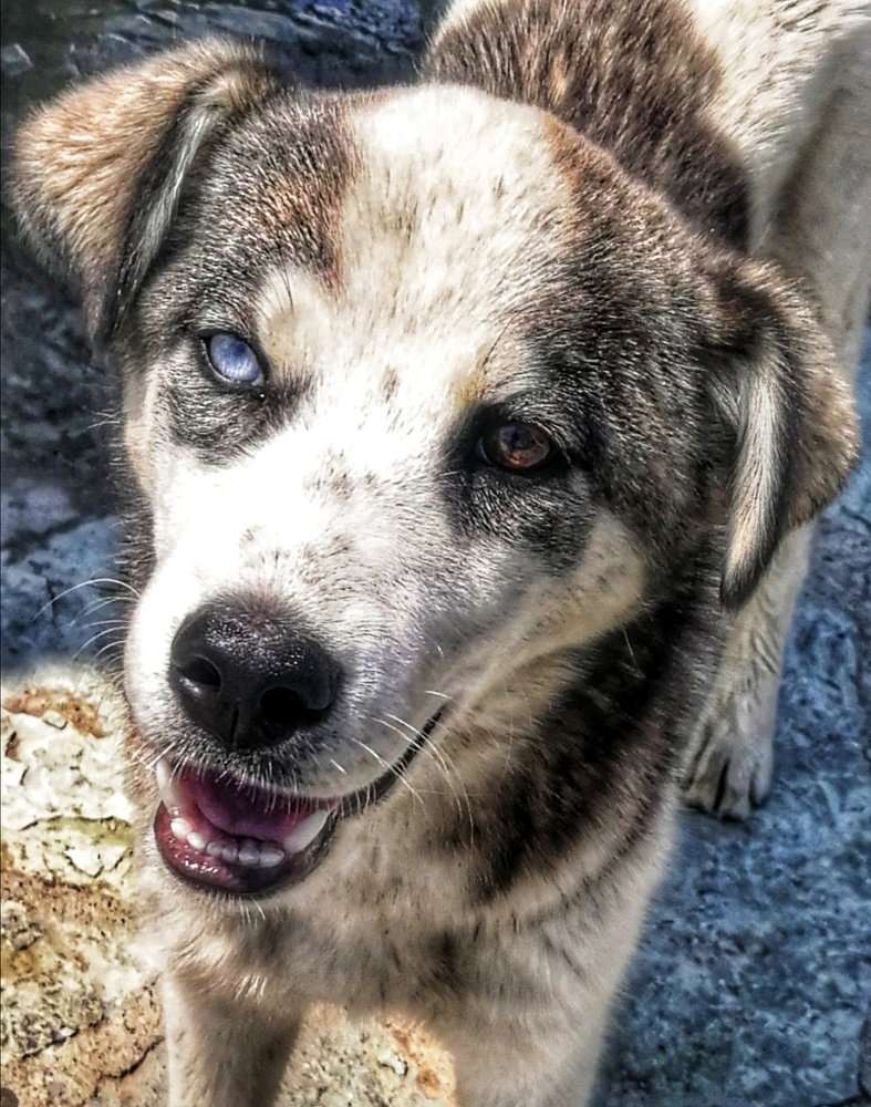 Фотография автора Sordia Tako