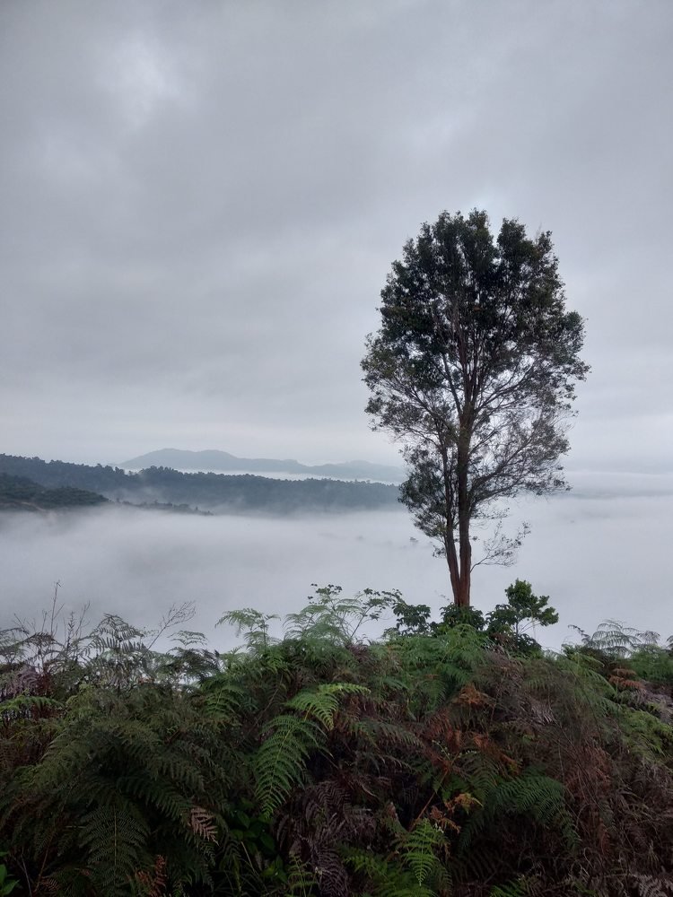 Standing alone