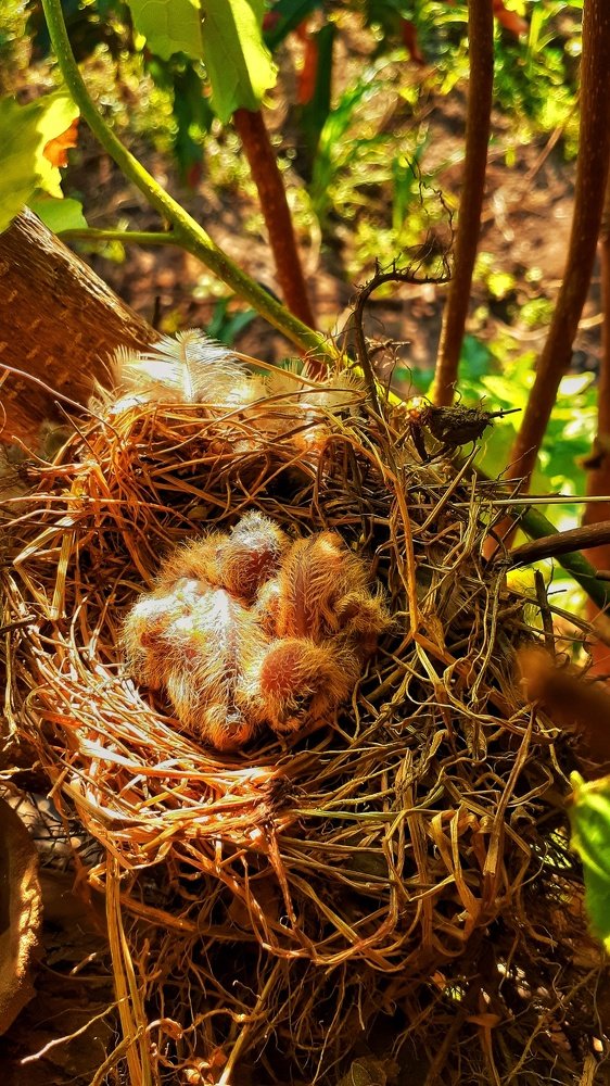 Photograph by Lady Thalia Rodríguez Mejía