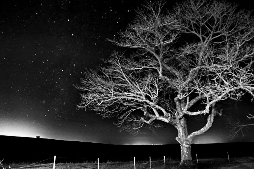 Photograph by Fabio de Carvalho