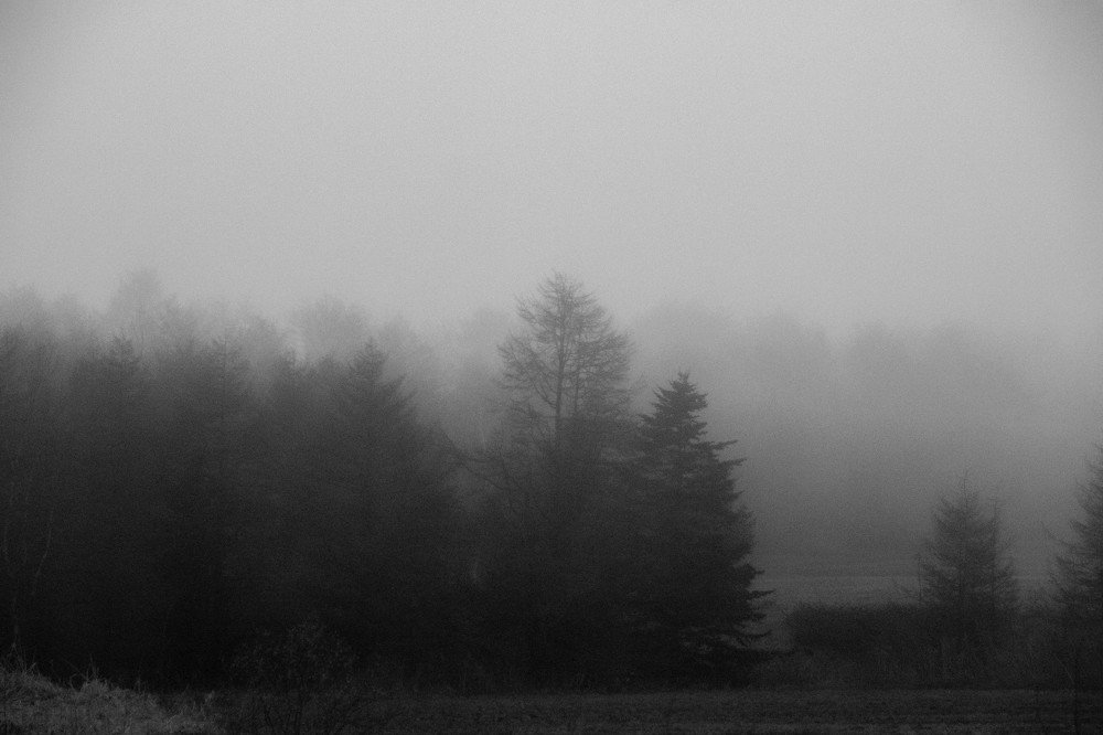 Фотография автора Маргарита Басова