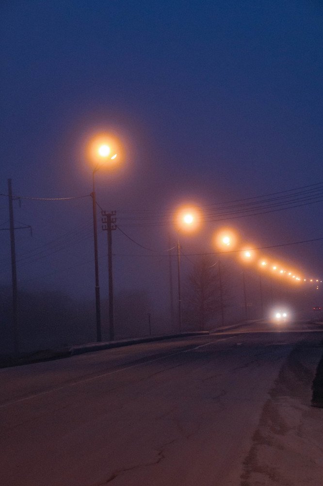 Фотография автора Маргарита Басова