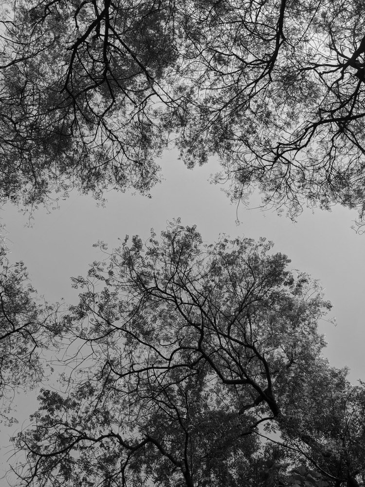 Abstract photography