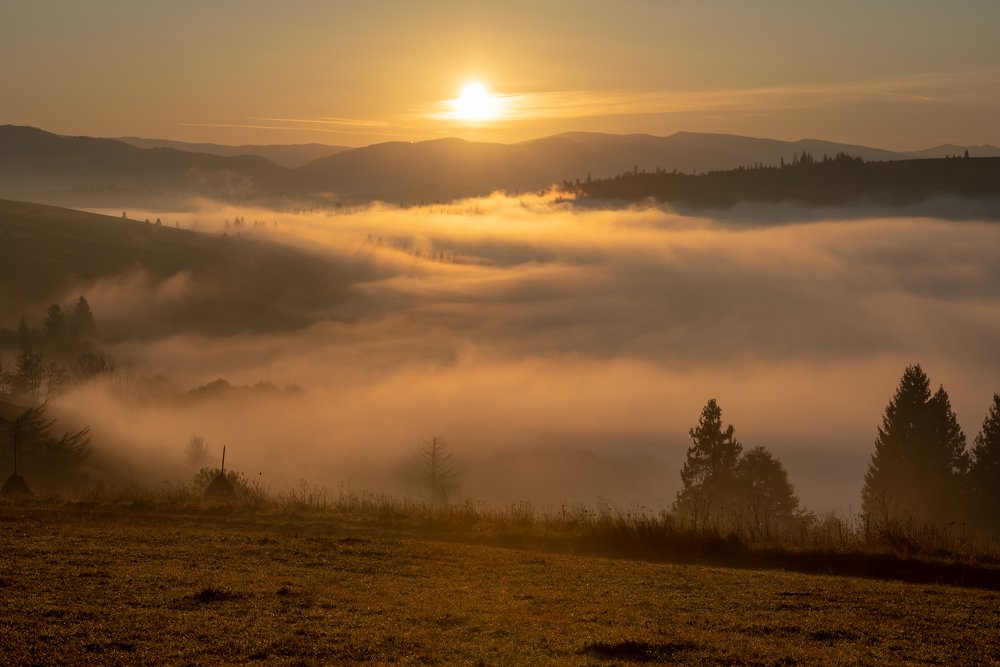 Photograph by Татьяна Степанова