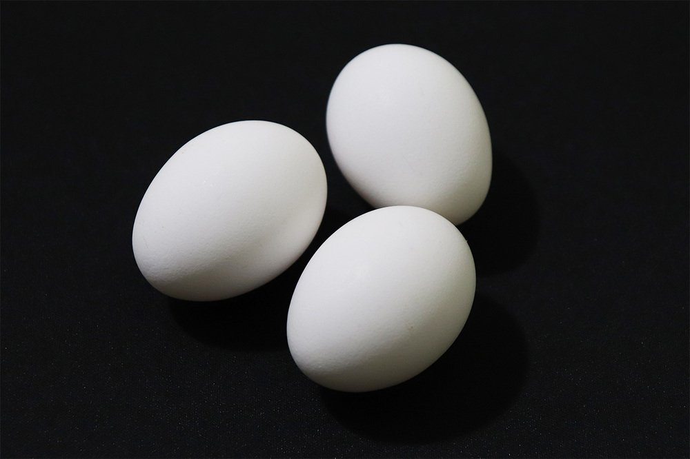 Фотография автора Alicia Rocca