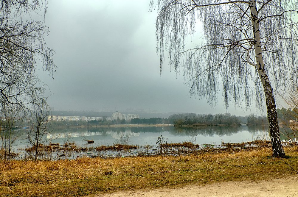 Foggy morning on the city lake