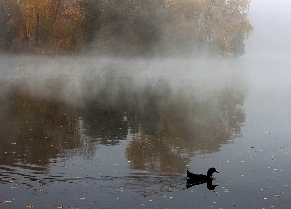 Photograph by Зоя Быкова