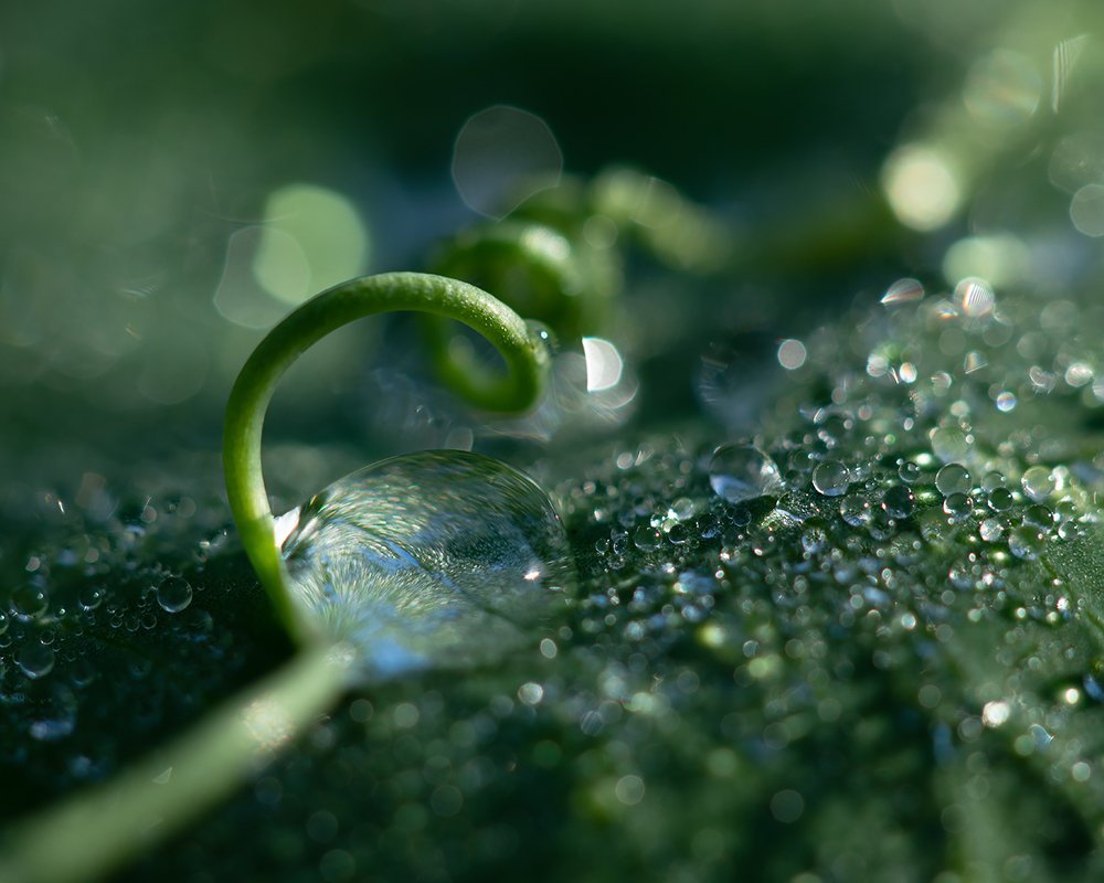 Photograph by Шапцева Дарья