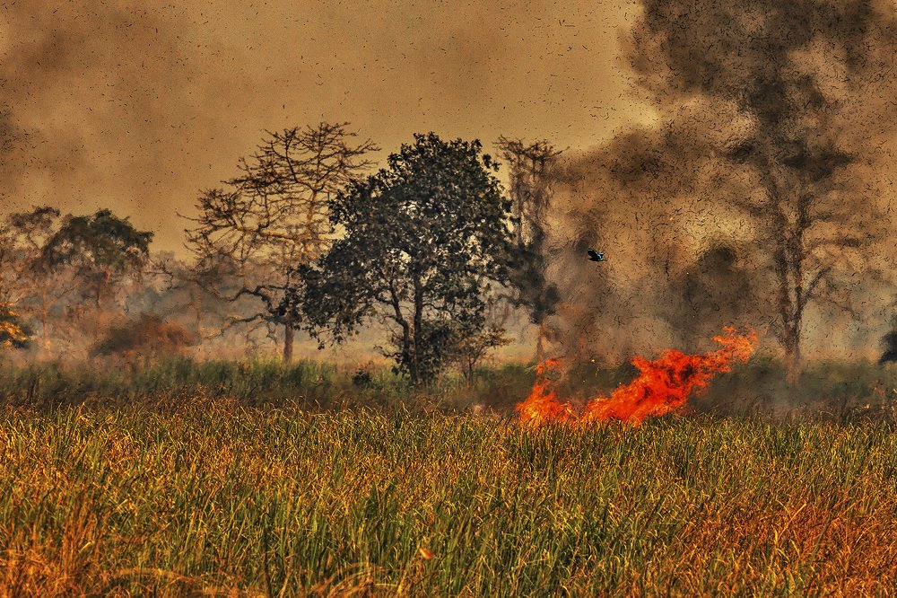 Photograph by Mainak Ray