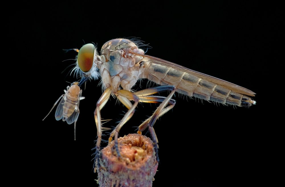 Photograph by Chuah Christopher