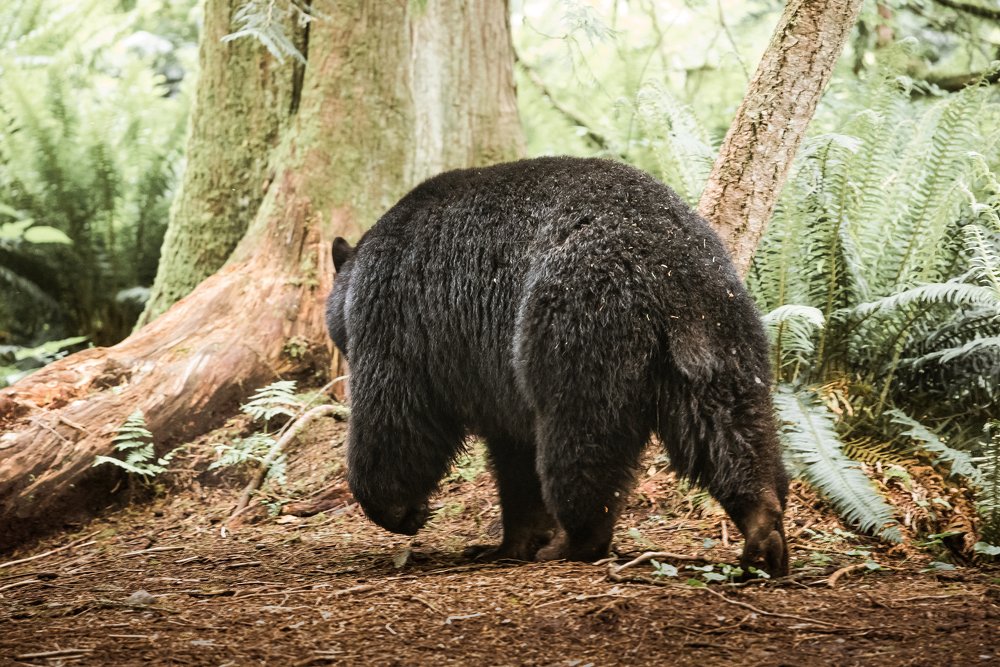 Photograph by Paula Luna