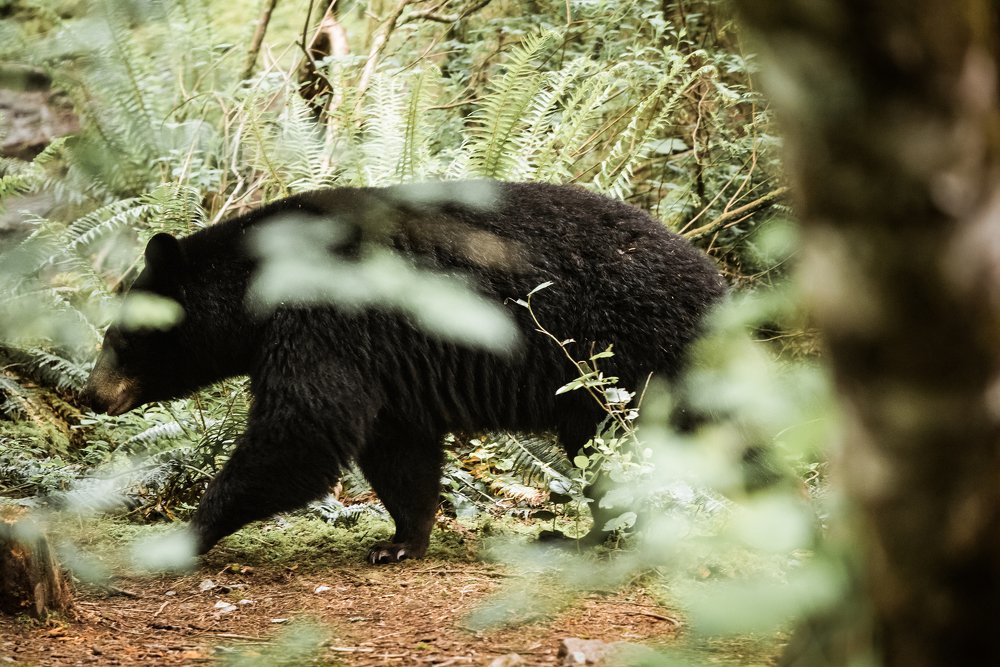 Photograph by Paula Luna