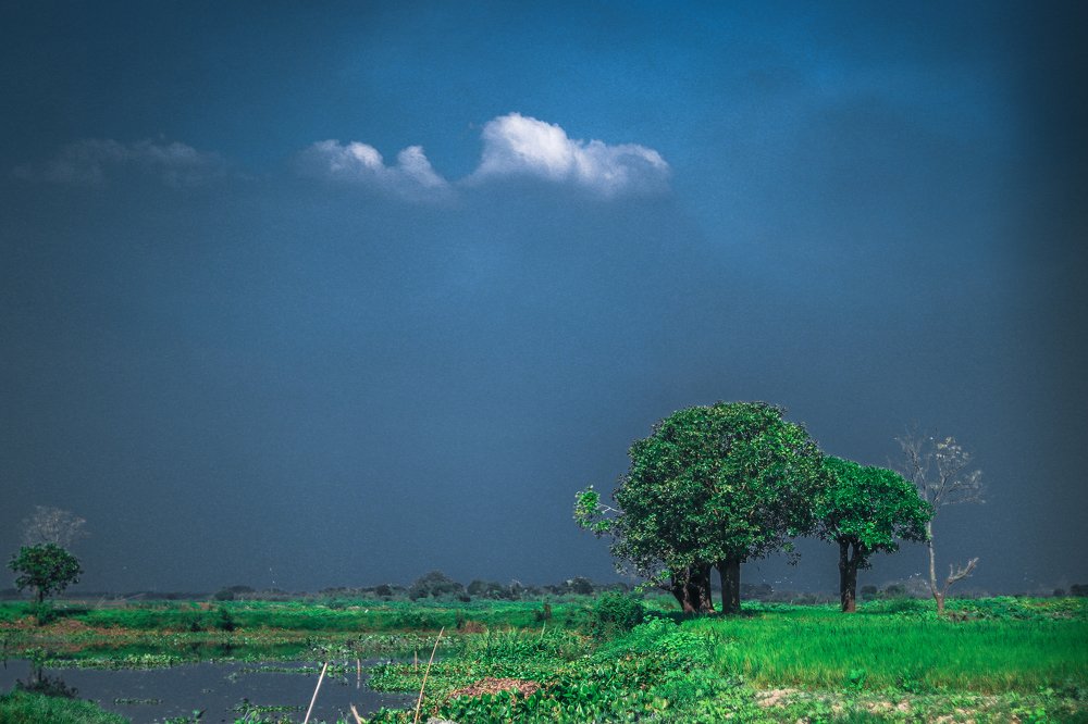 Photograph by Shahriar Hossain Mohammad