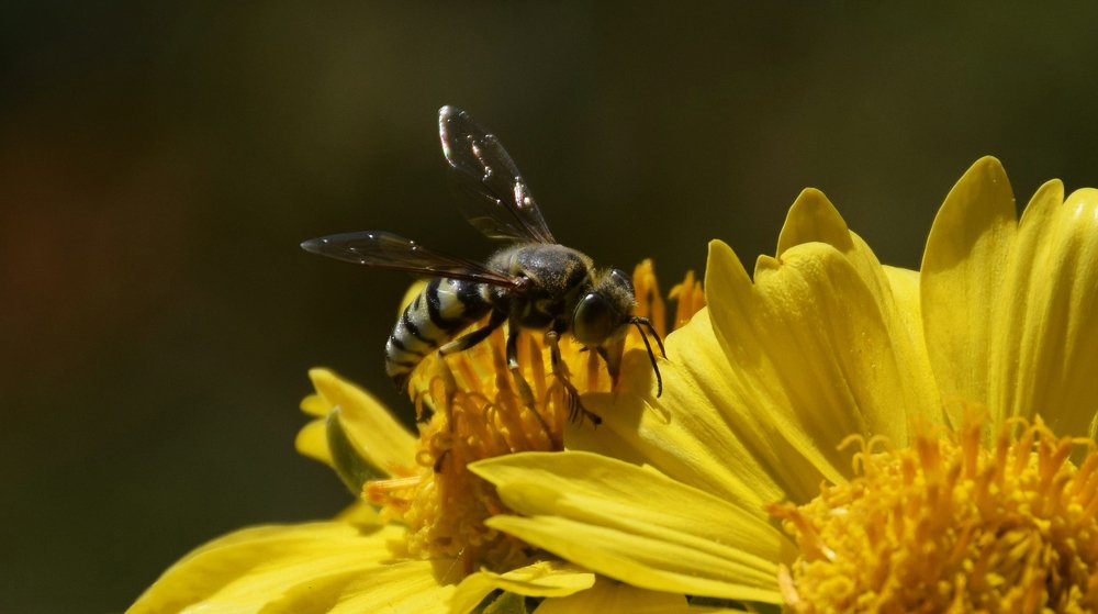 Photograph by fatemeh esmaeili