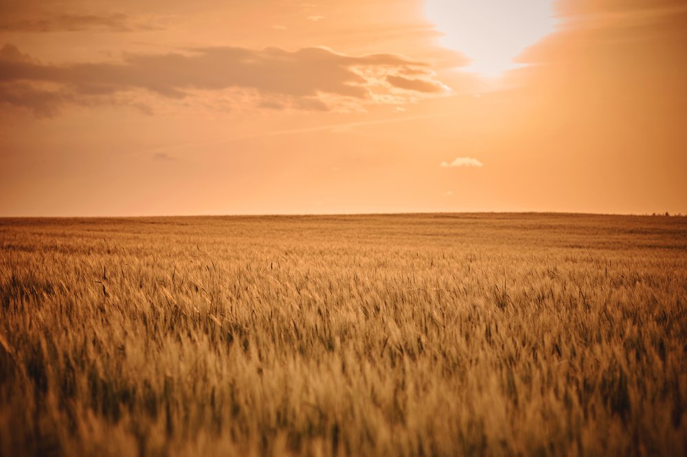 Photograph by Валерий Зенович