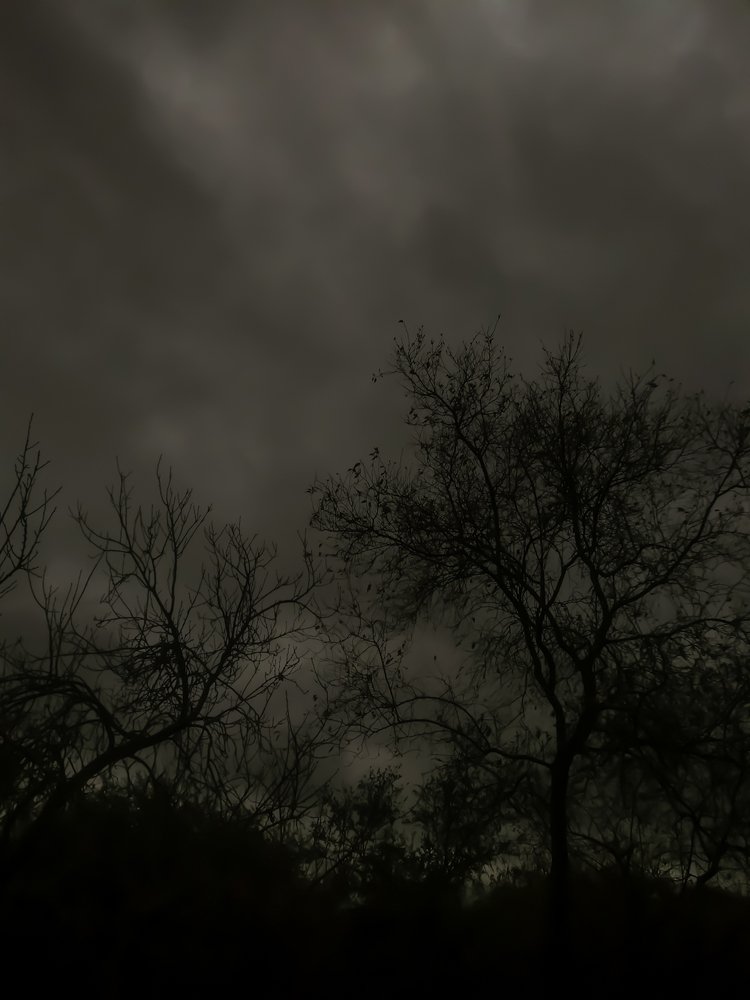 Photo #4715467