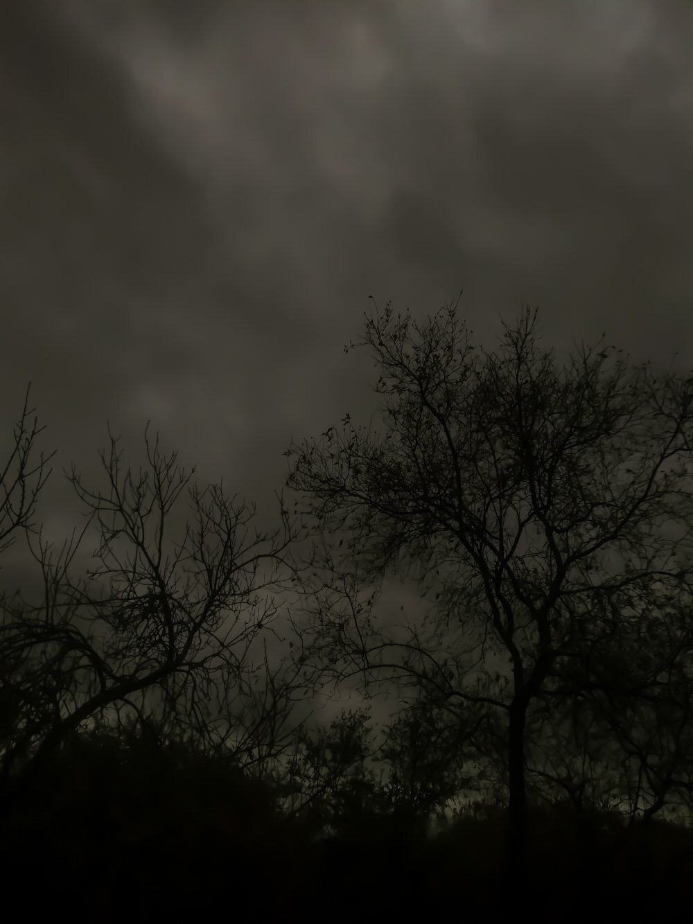 Photo #4715467