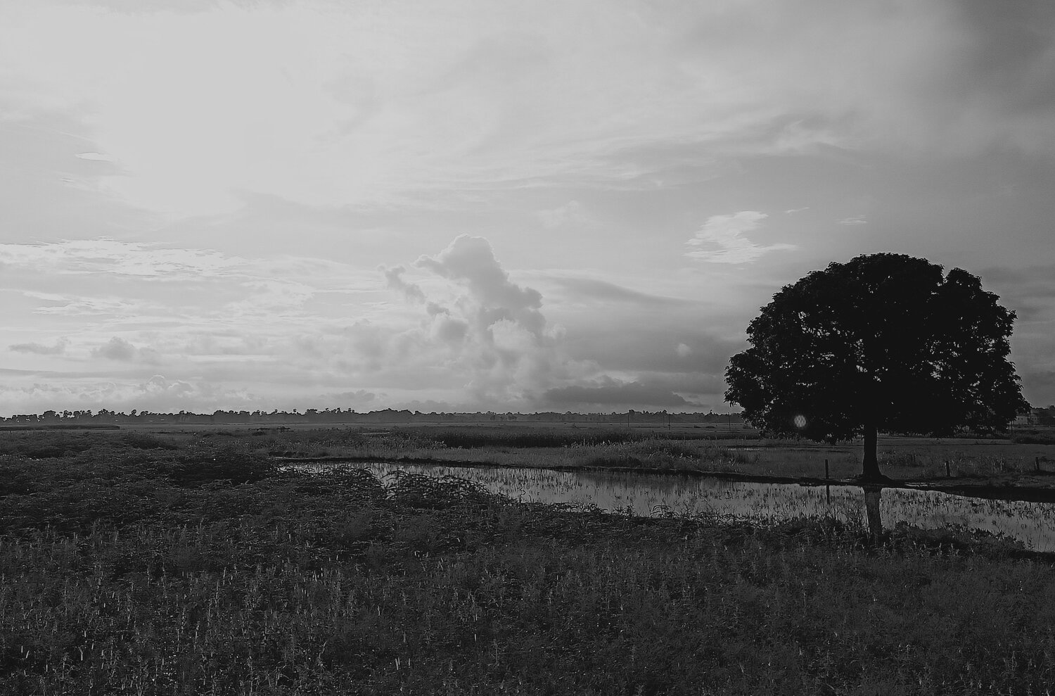 Photo #4715475