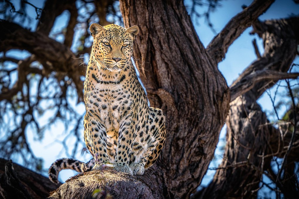 Photograph by Marcel Egger