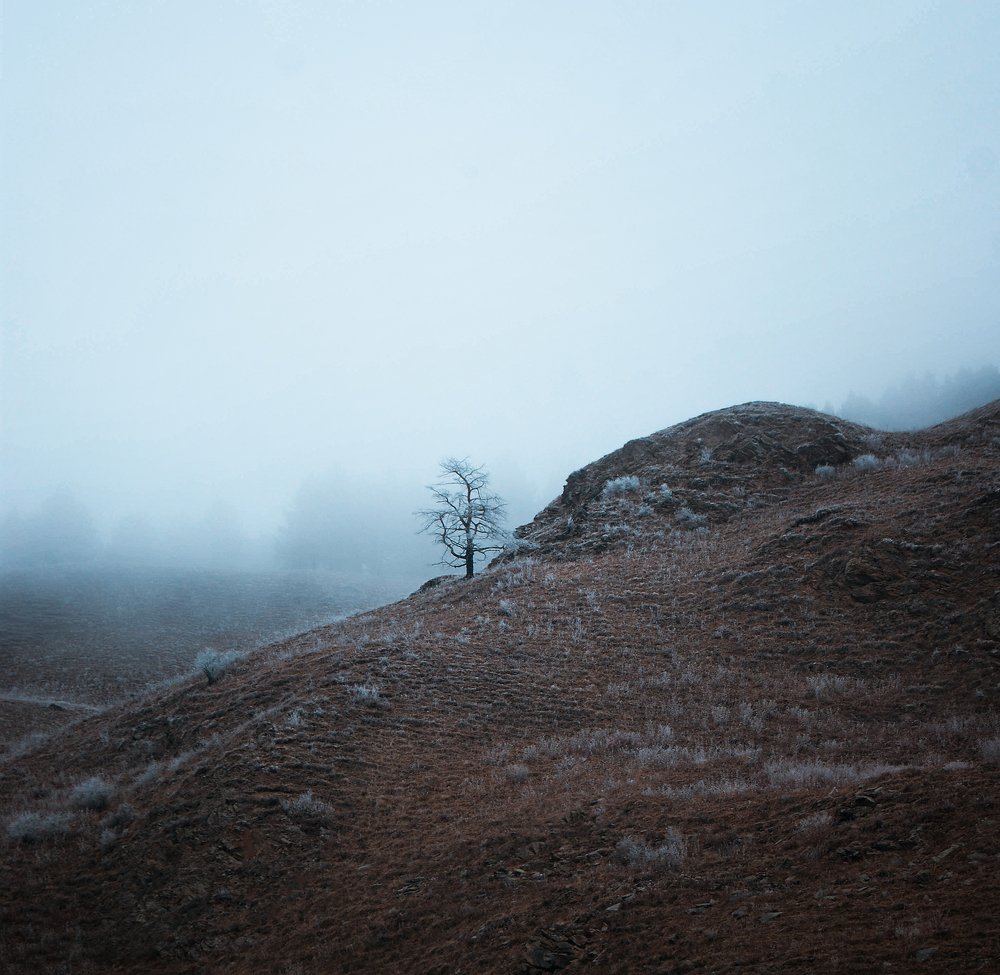 Фотография автора Кирилл Пчелинцев