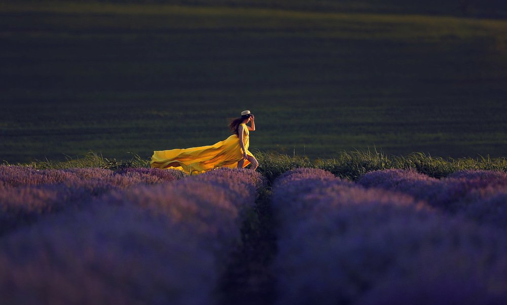 Фотография автора Victor Sacaliuc