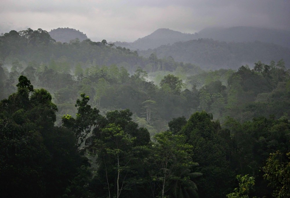 Photograph by Marine Sukiasyan