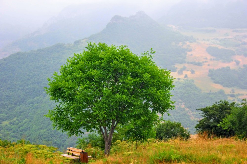 Photograph by Marine Sukiasyan