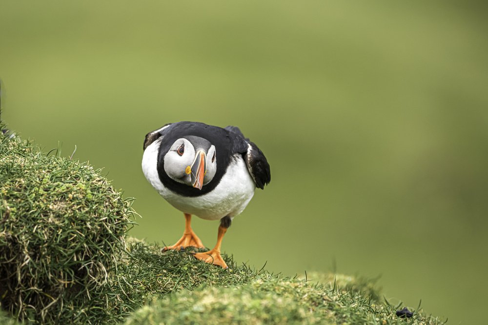 Photograph by Dino Garmy