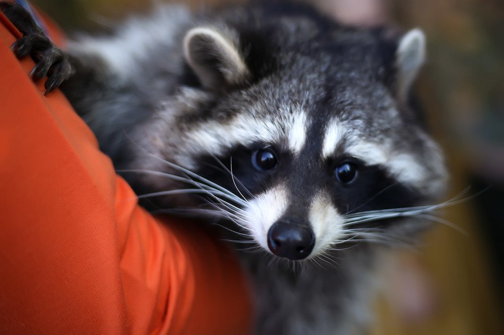 Photograph by Анастасия Кочеткова