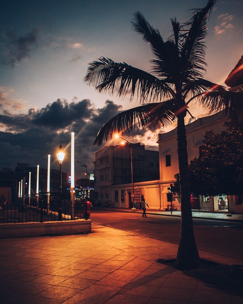 Photograph by Bunny ayush