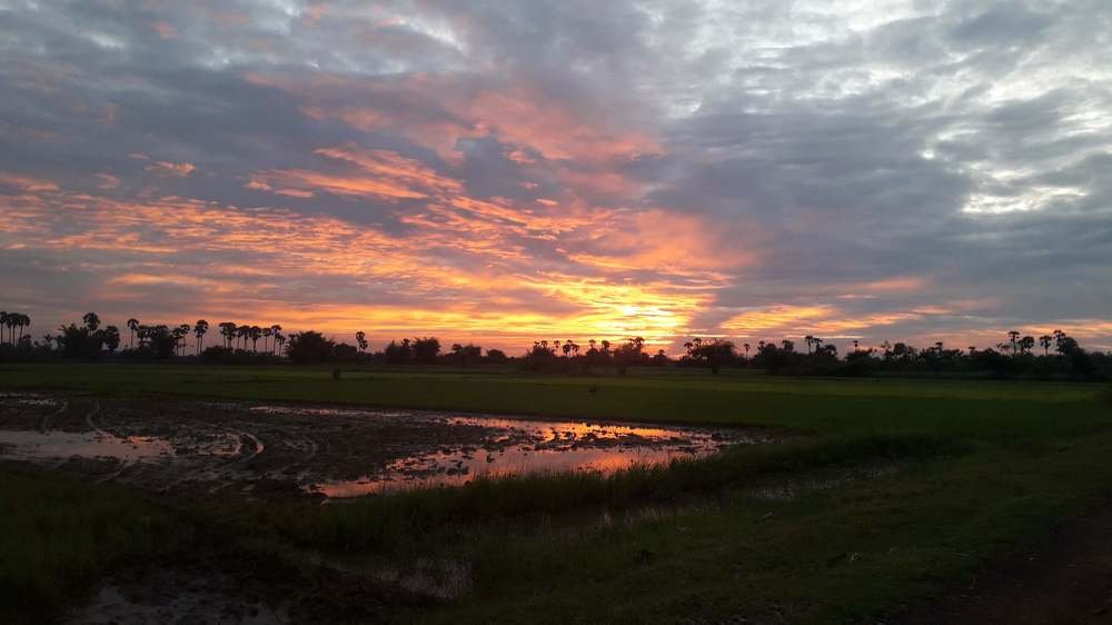 Photograph by Dhaneshkumar Dhaneshkumar Dakshinamoorthy