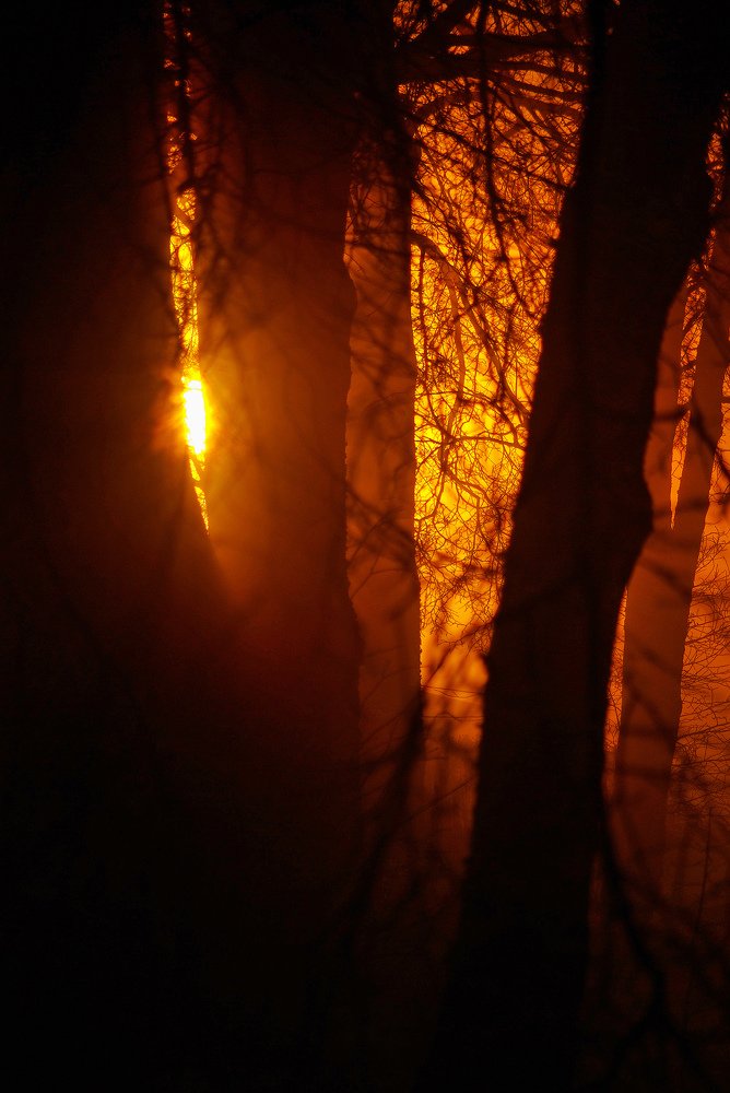 Photograph by Snezhana Litvinova