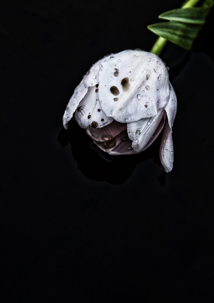 Photograph by Snezhana Litvinova