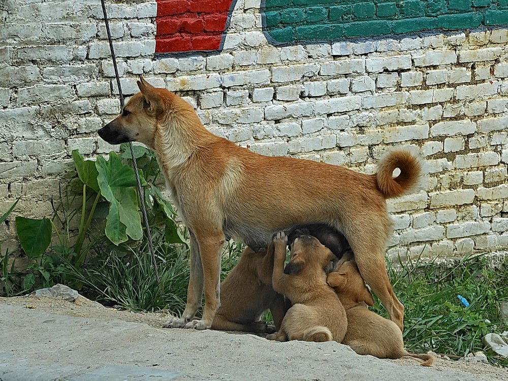 Photograph by Алевтина Шабалина