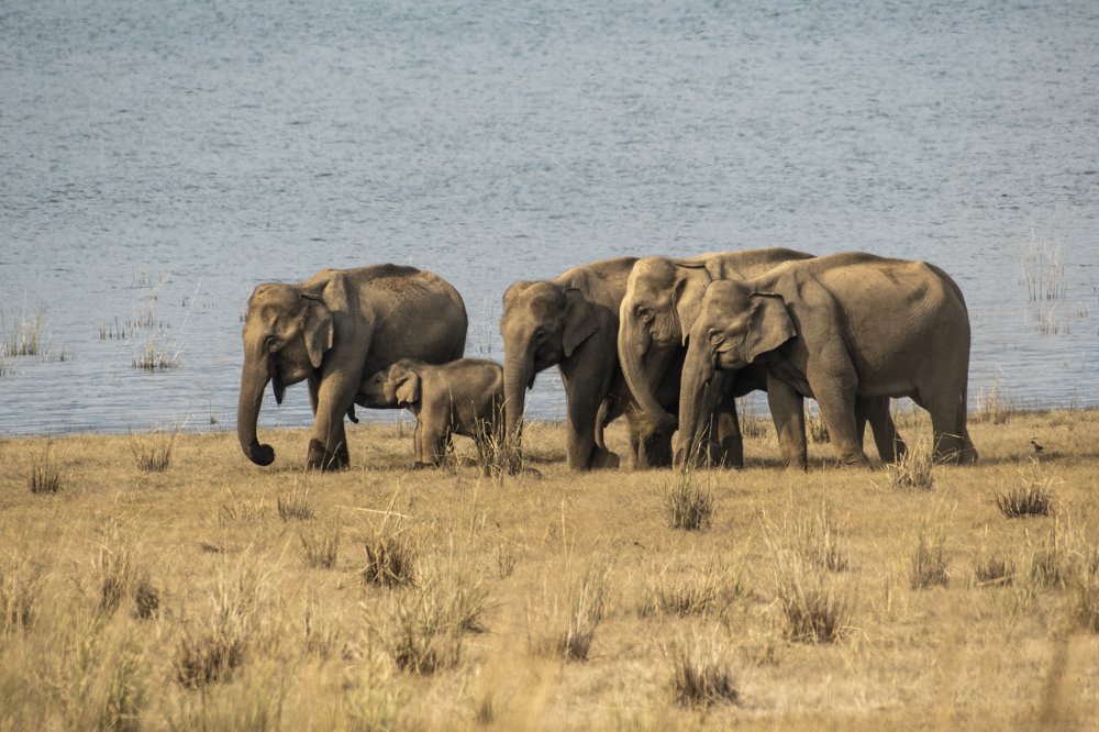 Photograph by Preet saluja