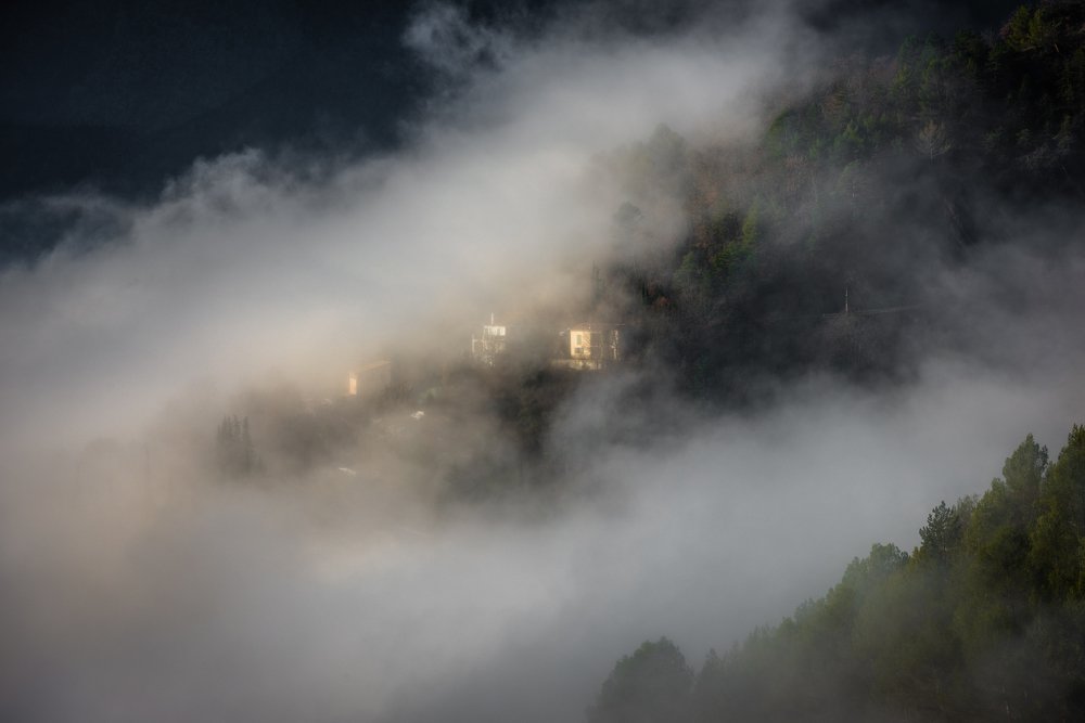 Photograph by Николай Пузанкевич