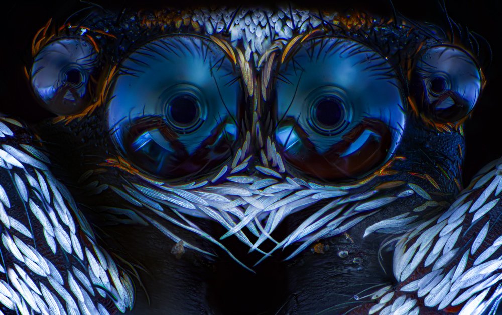 Photograph by Hall Stefanie