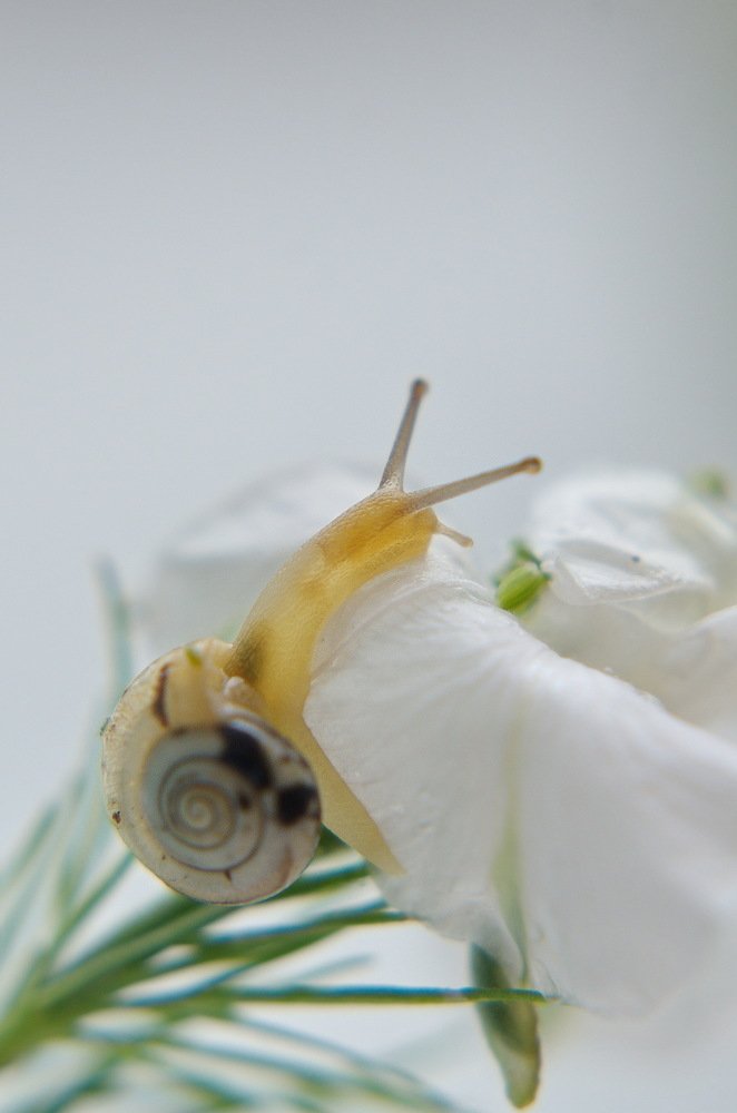 Photograph by Зоя