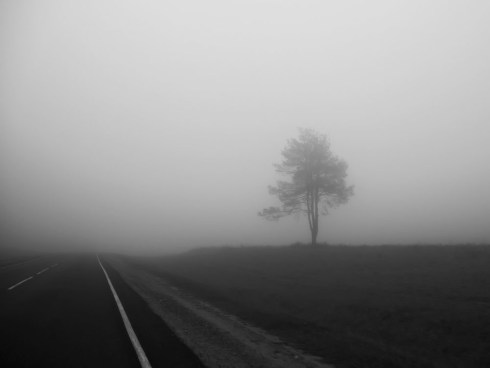 Photograph by Serge S. Pashintsev