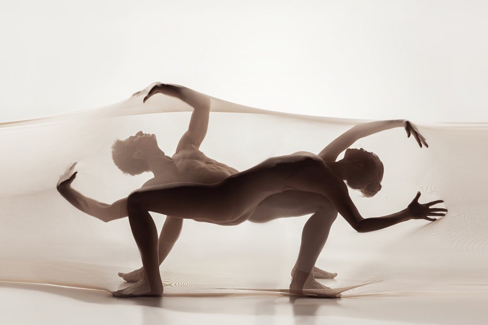 Photograph by Lustre