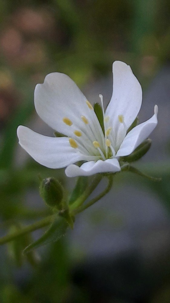 Photograph by Mozhgan Fotouhi