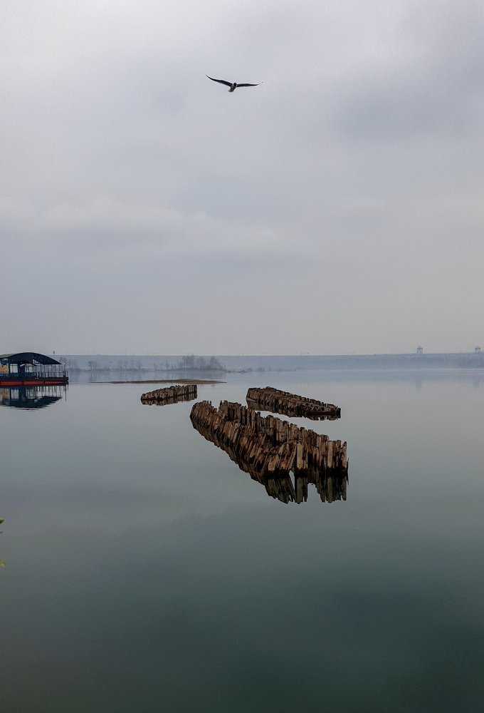 Photograph by Андрей Щипин