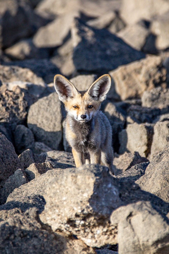 Let eyes do the talking