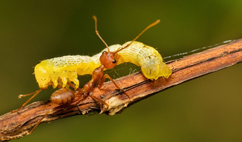 Photograph by somnath bhandari