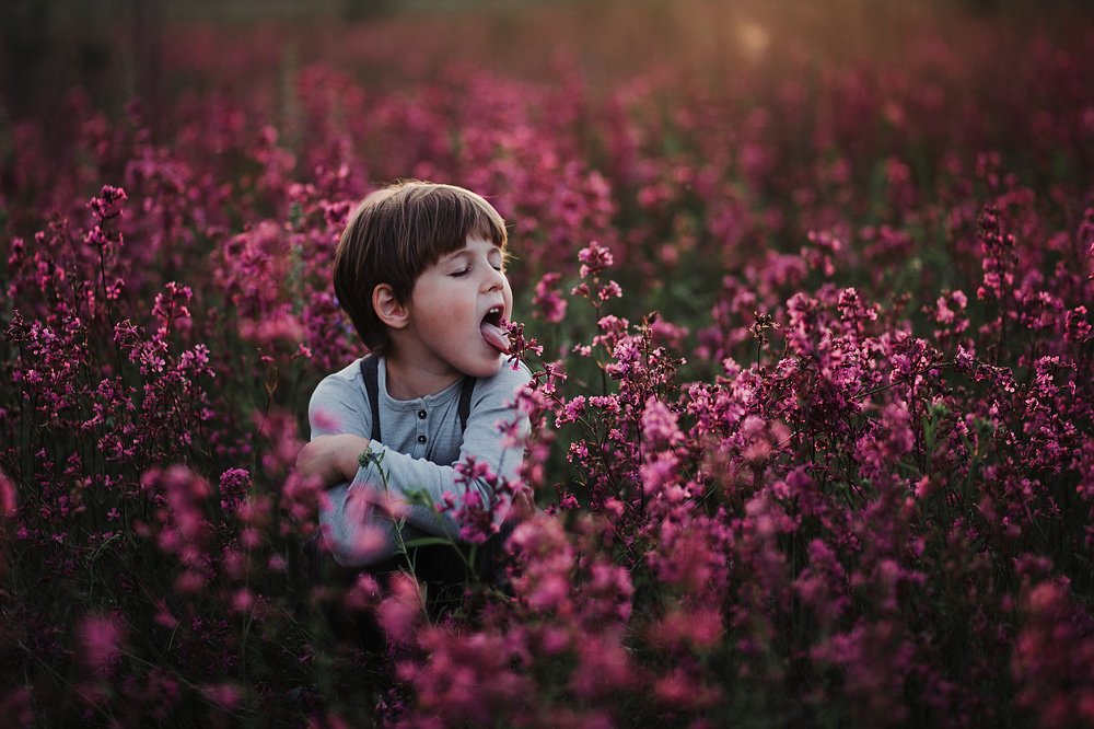 Фотография автора Анна Беляева